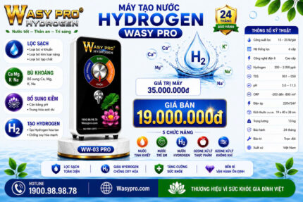 Máy tạo nước Hydrogen giàu ion kiềm sạch Model WS-03 PRO