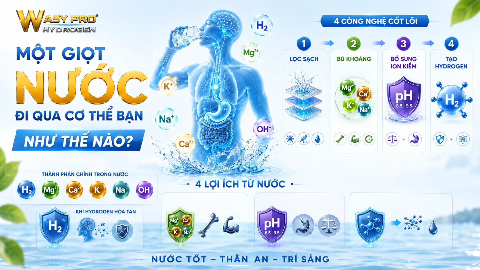 Máy Tạo Nước Hydrogen Giàu Ion Kiềm Sạch - Một Giọt Nước Đi Qua Cơ Thể Bạn Như Thế Nào