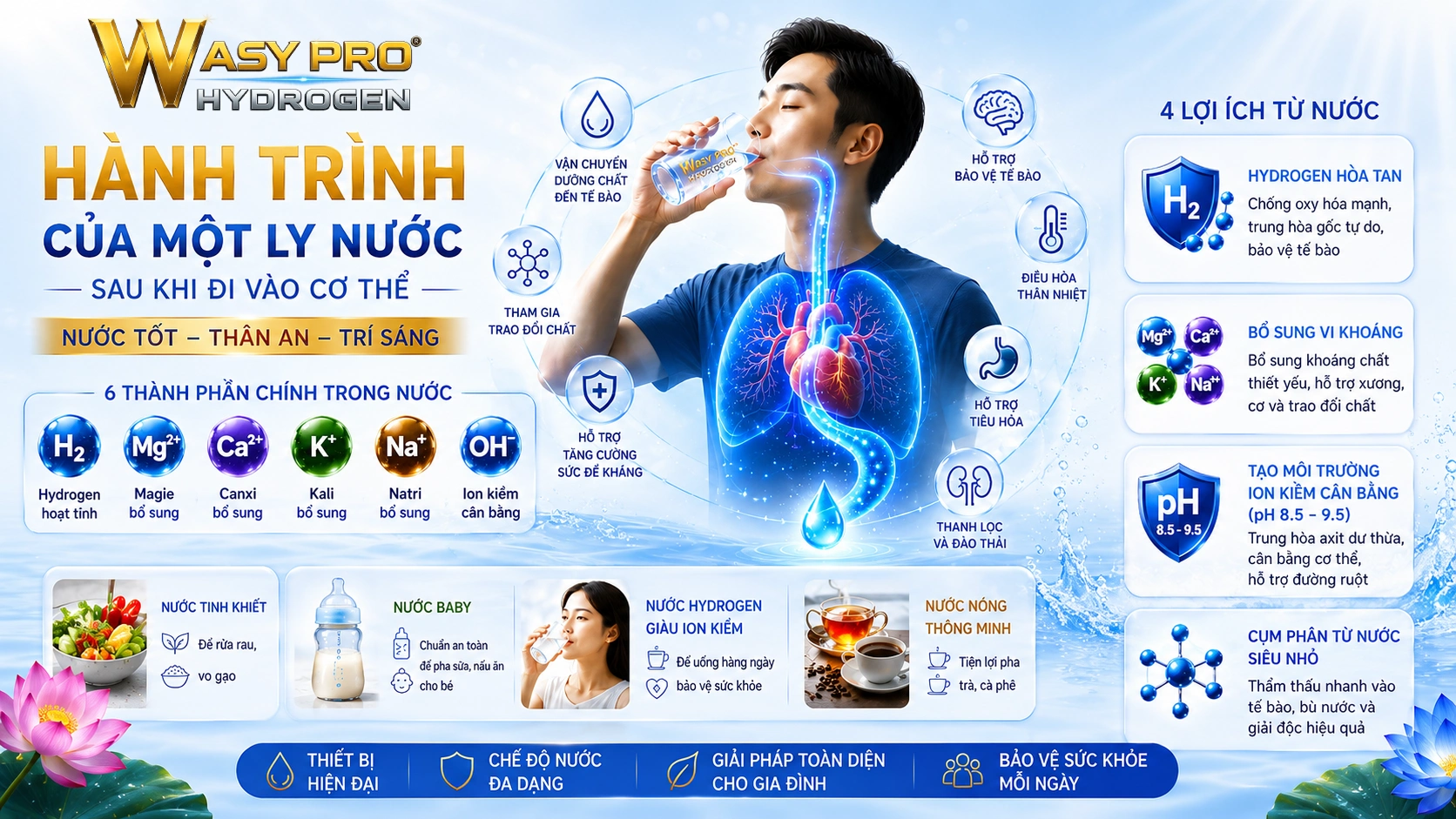 Nước Hydrogen Giàu Ion Kiềm Sạch - Hành Trình Của Một Ly Nước Sau Khi Đi Vào Cơ Thể